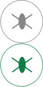 jinnian金年会高效抗菌